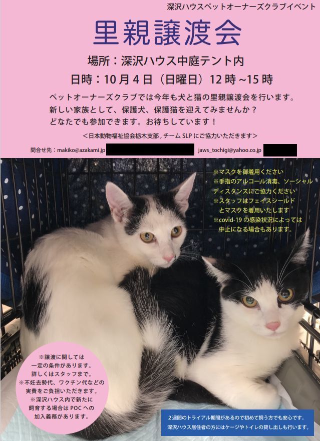 譲渡会に参加します Tinaの毎日が猫曜日