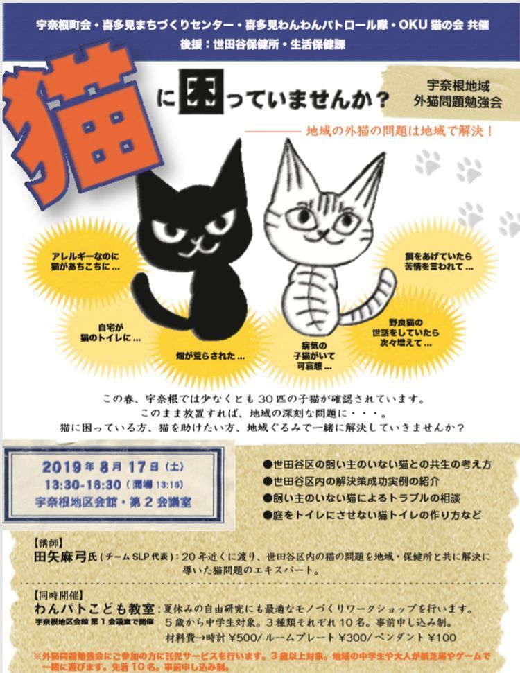 世田谷区内・地域猫活動勉強会！: TINAの毎日が猫曜日